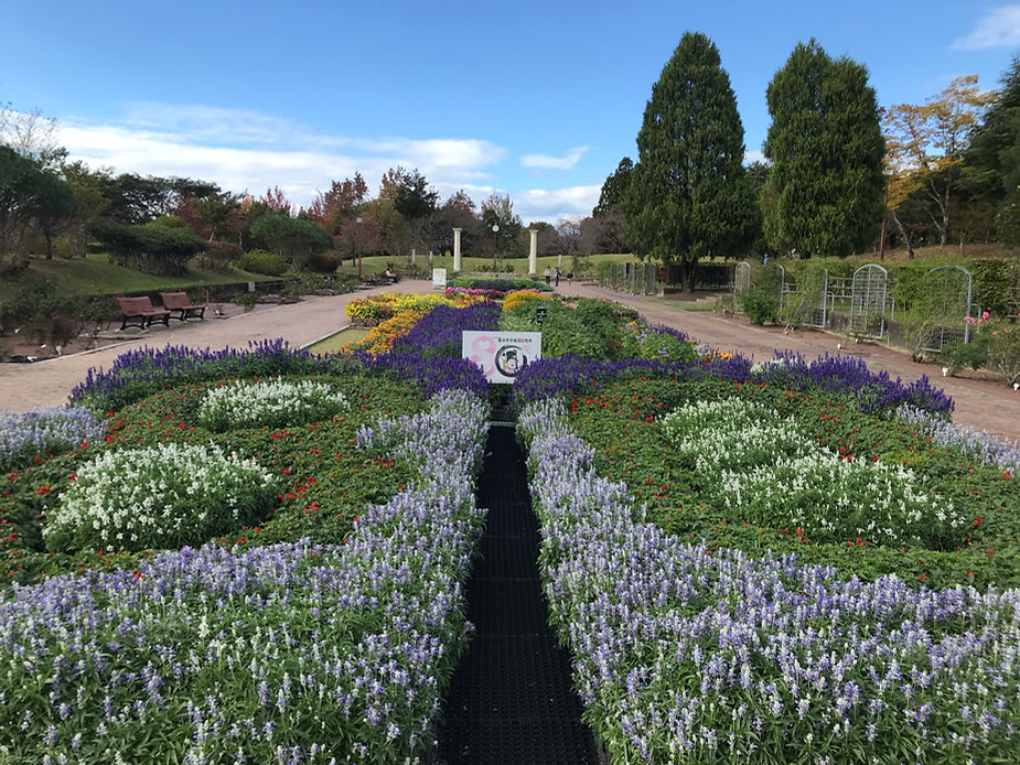 lycee 協会　移動　日単 lycee 協会 移動 日単 lycee 協会 移動 日単 Lycee Overture TCG