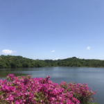 小幡緑地公園にある池