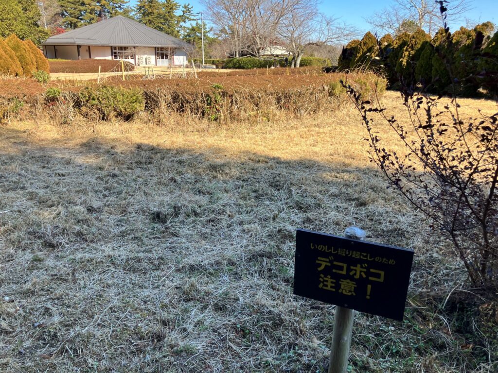 さすが県民の森です。いろいろな仲間が暮らしています。奥に見えるのが、自然学習展示館。