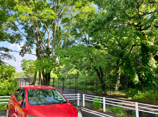 西駐車場で運用を開始。とても緑が美しく、気持ちよかった。