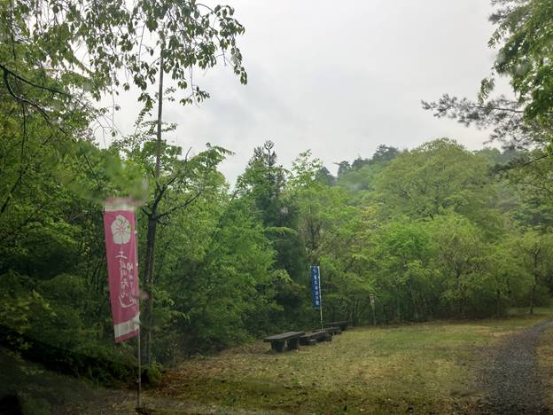 山道に入ると、のぼりが建っているので、わかりやすい