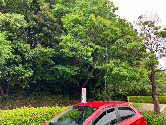 運よく端っこの駐車スペースがあいていた。