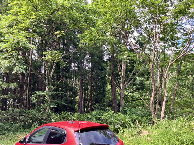 最初予定した場所はあきらめ、道路沿いの空き地で運用。携帯の電波は通じない。