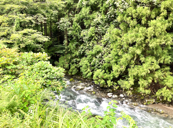 長谷川の流れに癒されました