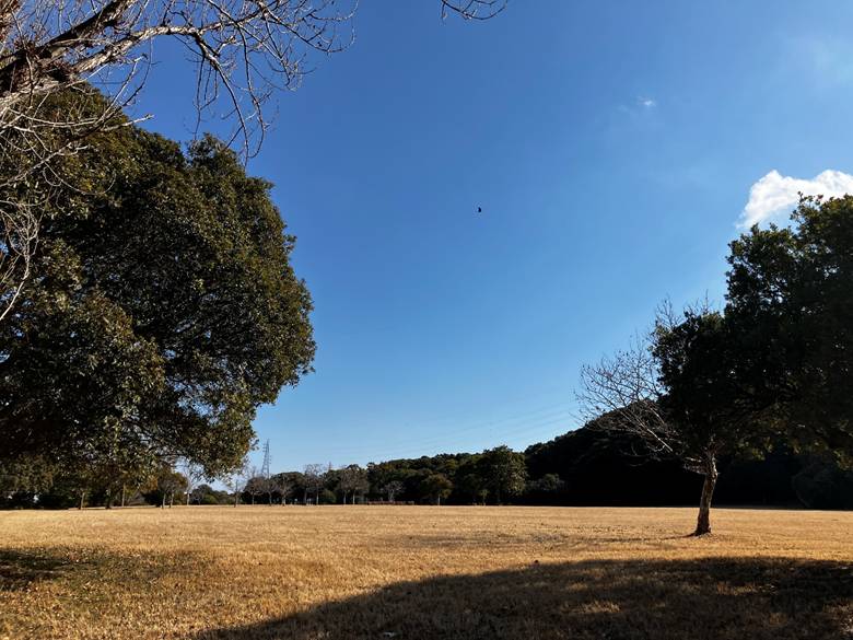 バーベキュースペースもある、広い公園